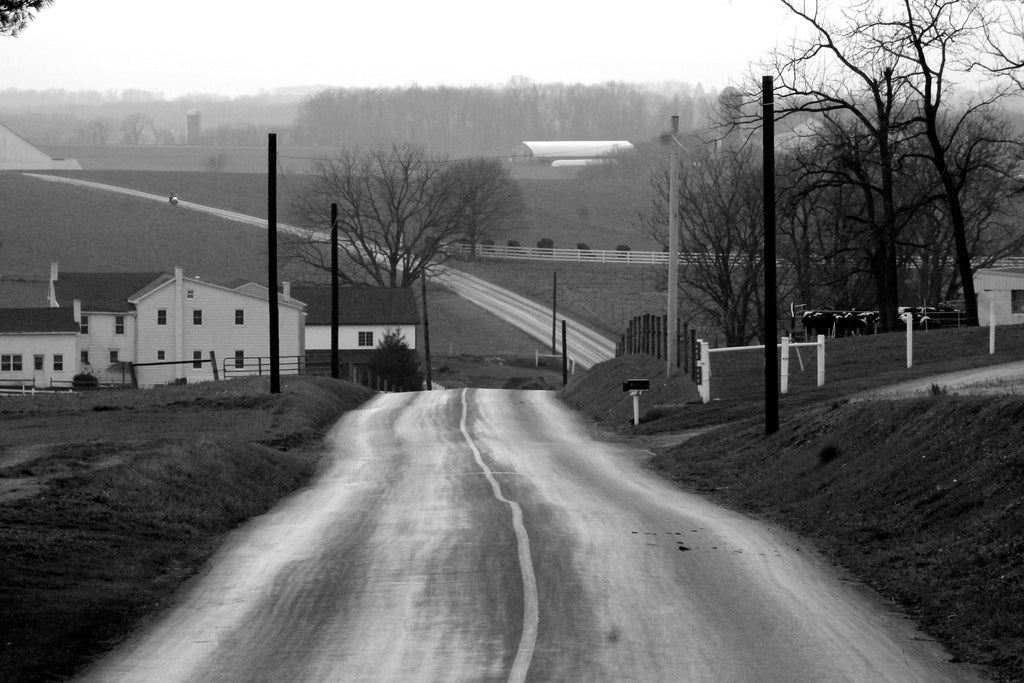 Black and white image of road in Lancaster, PA farmland